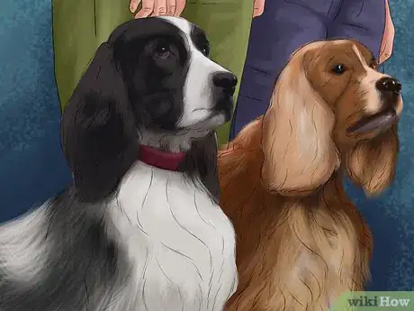 Image titled Teach Your Dog "On By" Step 13